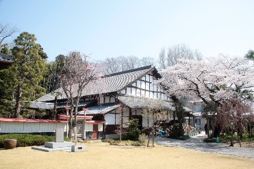treasure-kuri